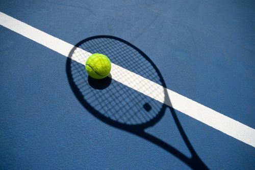 Bild zu den Erste Bank Open Tennis Turnier in Wien