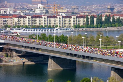 Bild zu den Vienna City Marathon in Wien