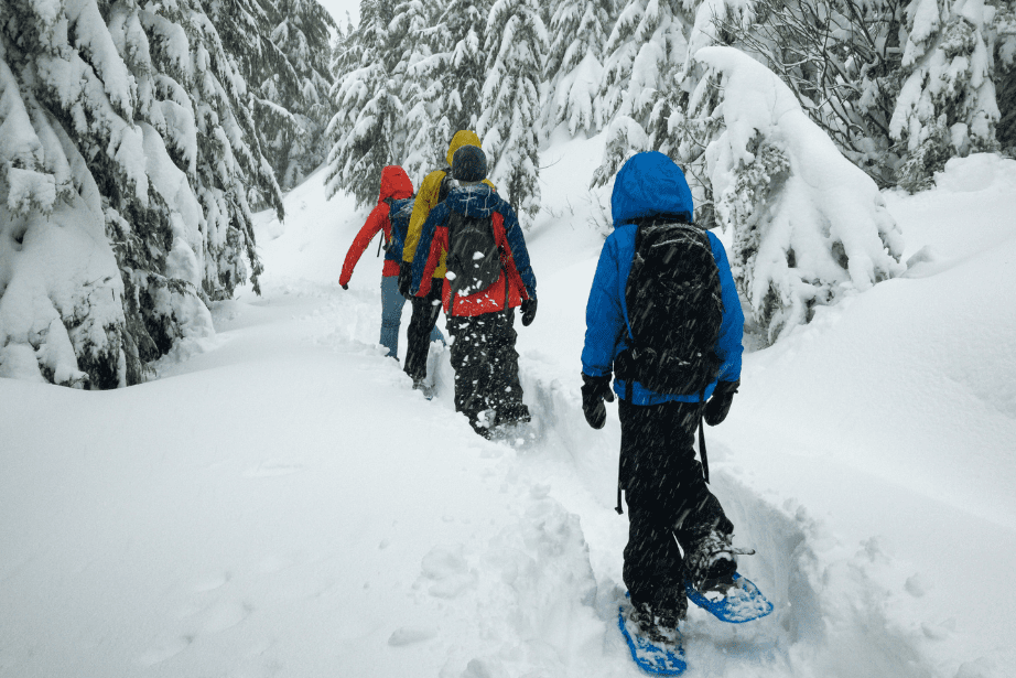 Schneeschuhwandern im Raxalpengebierge